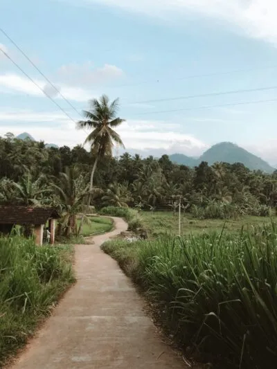 Sri Lanka Natuur Verticaal