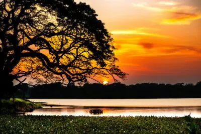 Sri Lanka Wilpattu National Park Zonsondergang Meer Bossen