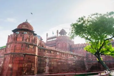 India Delhi Rode Fort Boom Vogel